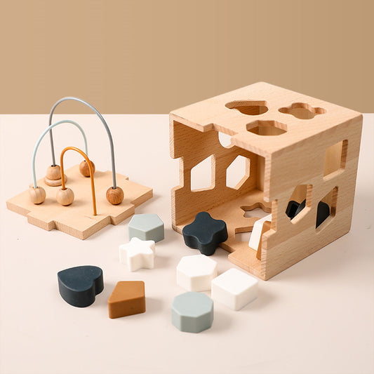 Montessori Wooden Shape Sorter & Activity Cube