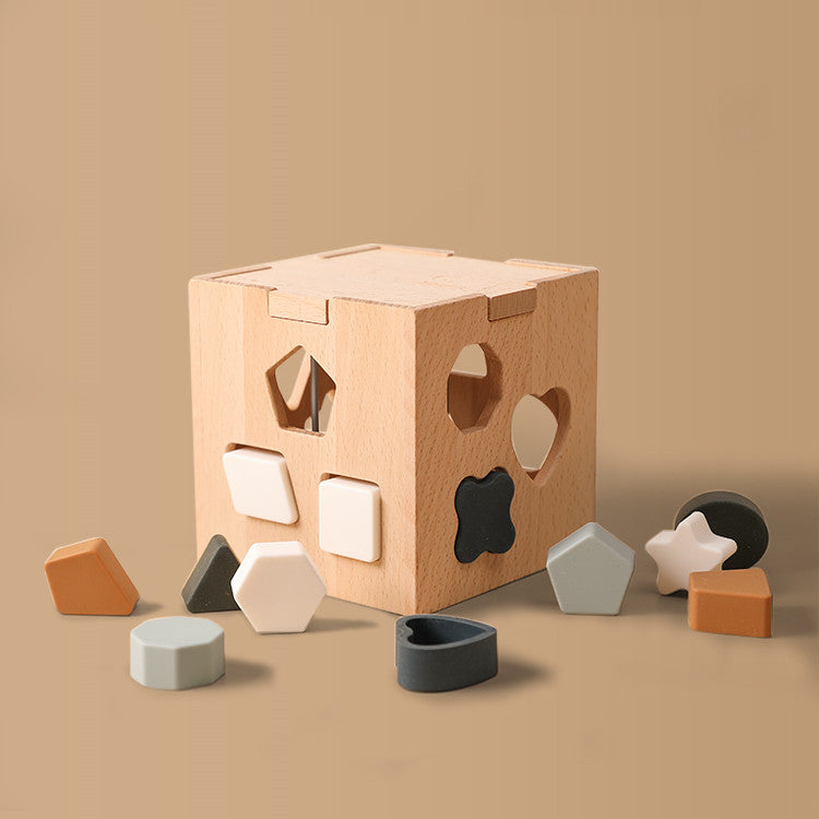 Montessori Wooden Shape Sorter & Activity Cube