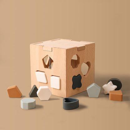 Montessori Wooden Shape Sorter & Activity Cube
