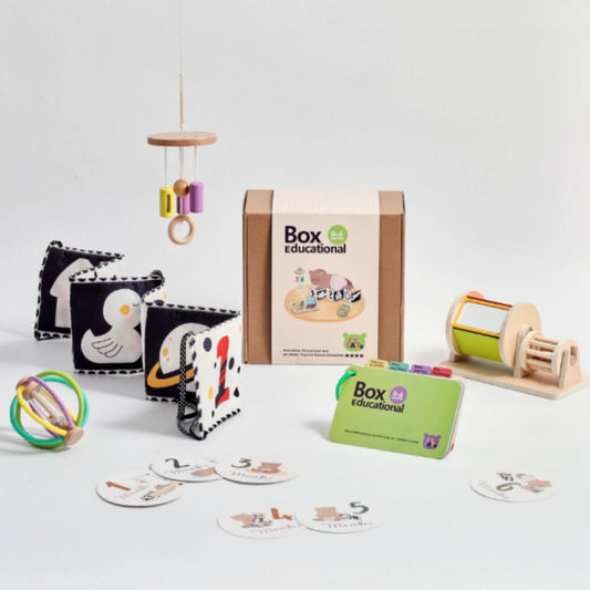Educational toys and materials with 'Box Educational' branding on a light background