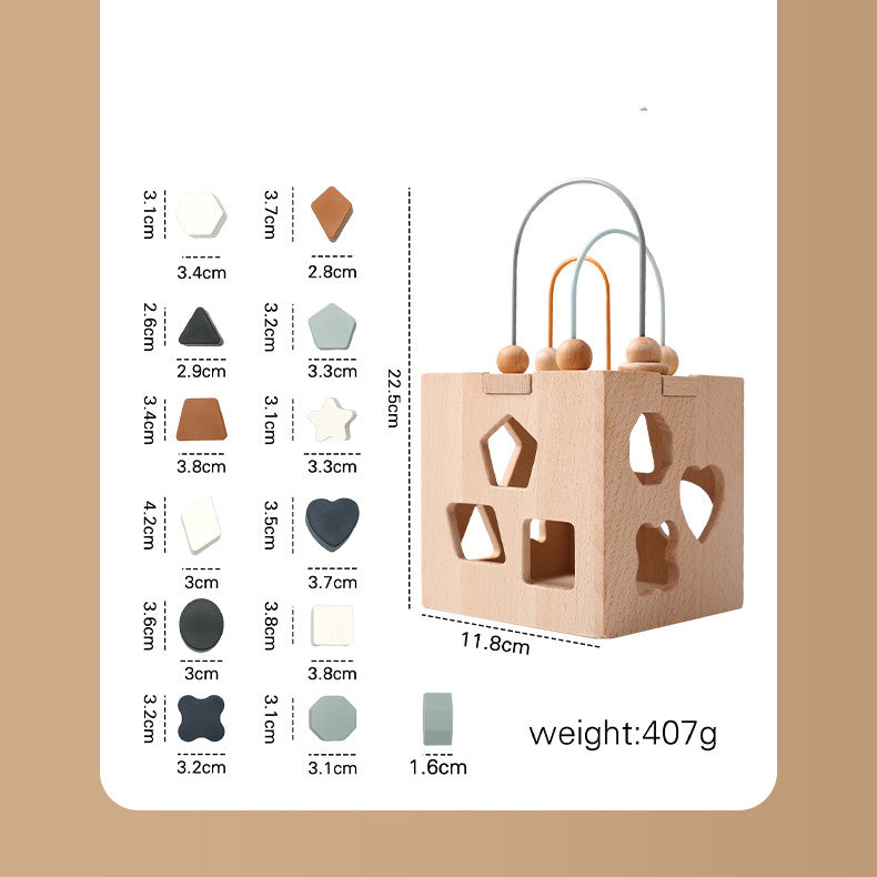 Montessori Wooden Shape Sorter & Activity Cube