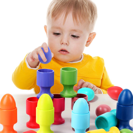 Wooden Colour Sorting Fine Motor Transfer Set